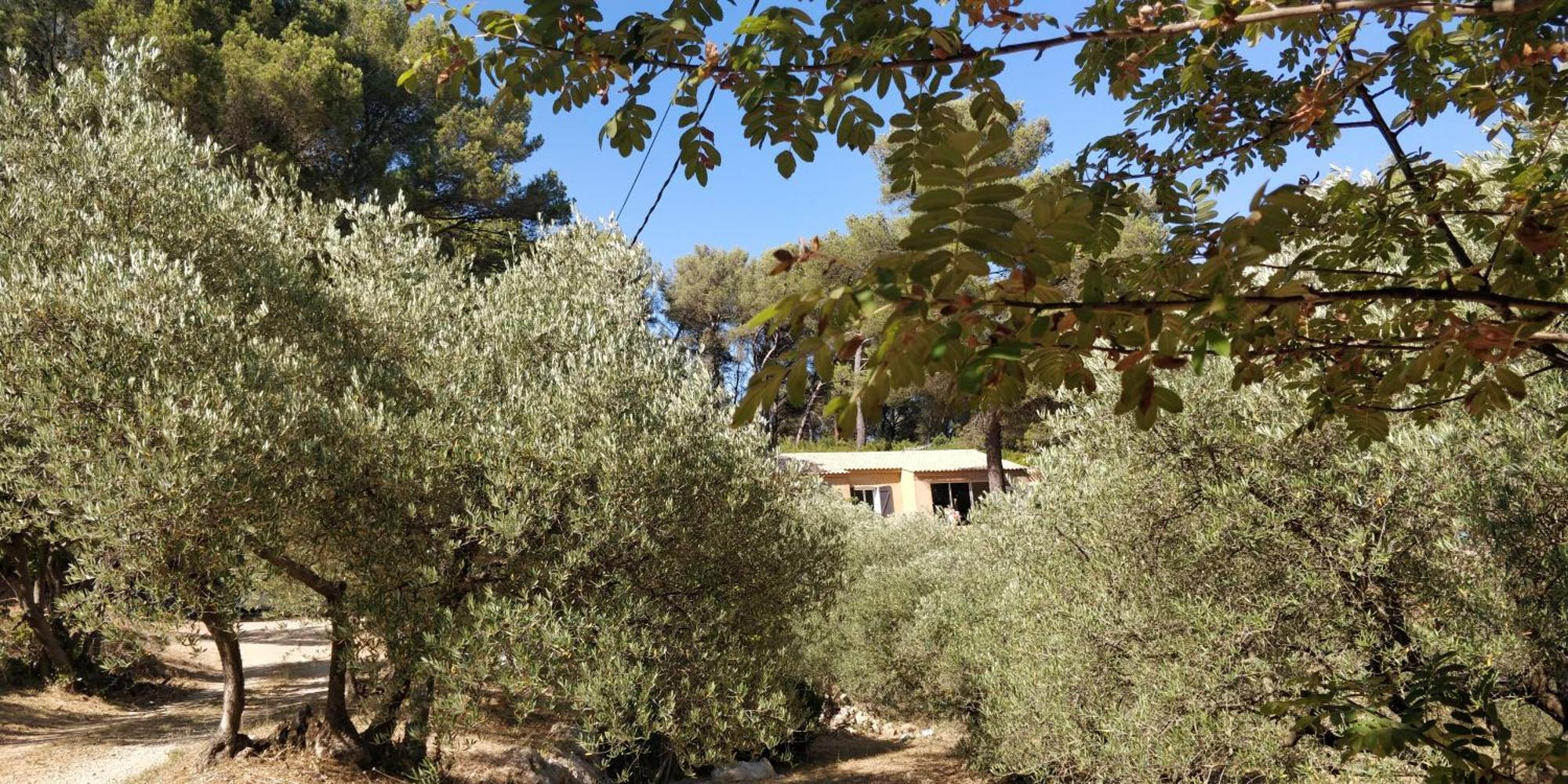 Villa CIGALONS en pleine pinède + PISCINE chauffée Auriol Exterior foto