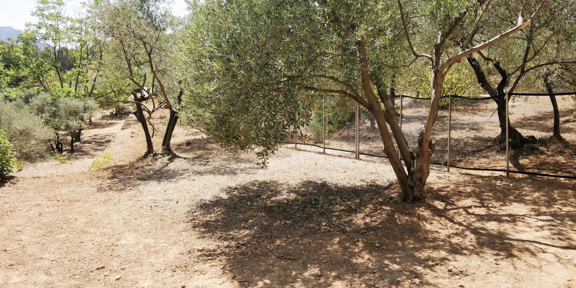 Villa CIGALONS en pleine pinède + PISCINE chauffée Auriol Exterior foto