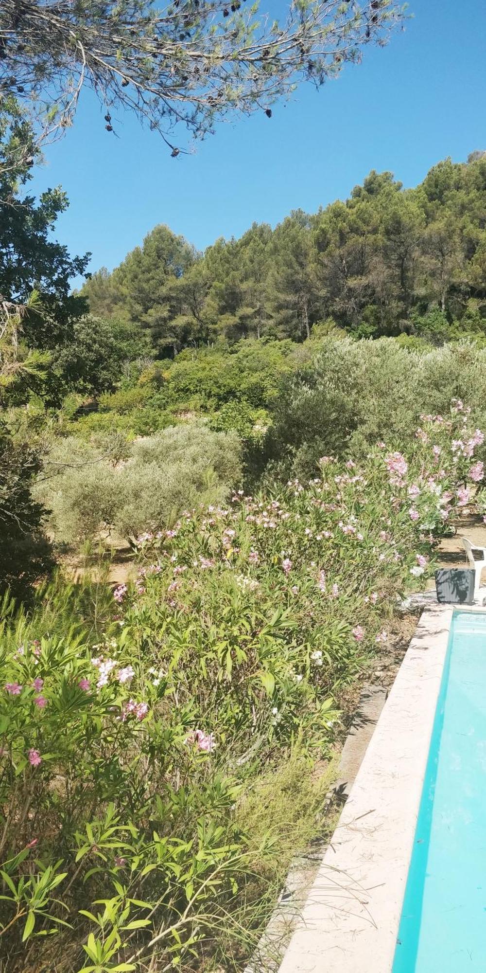 Villa CIGALONS en pleine pinède + PISCINE chauffée Auriol Exterior foto
