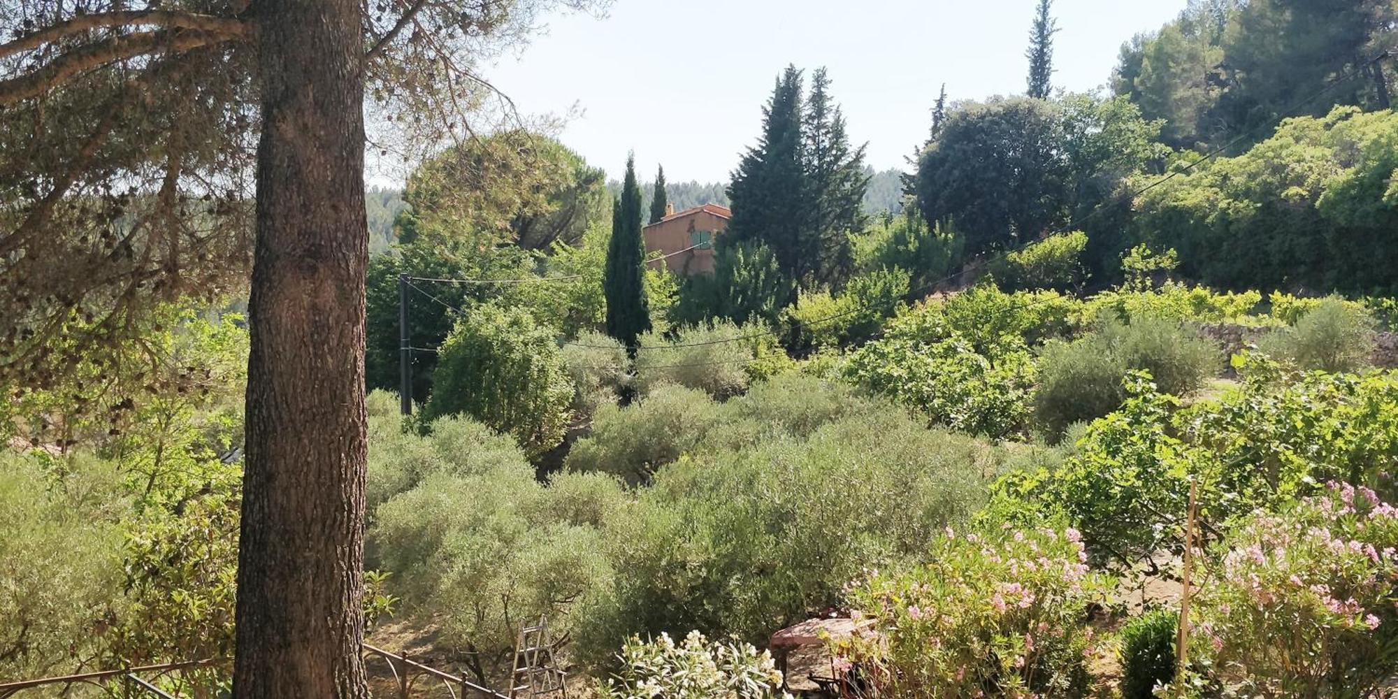 Villa CIGALONS en pleine pinède + PISCINE chauffée Auriol Exterior foto