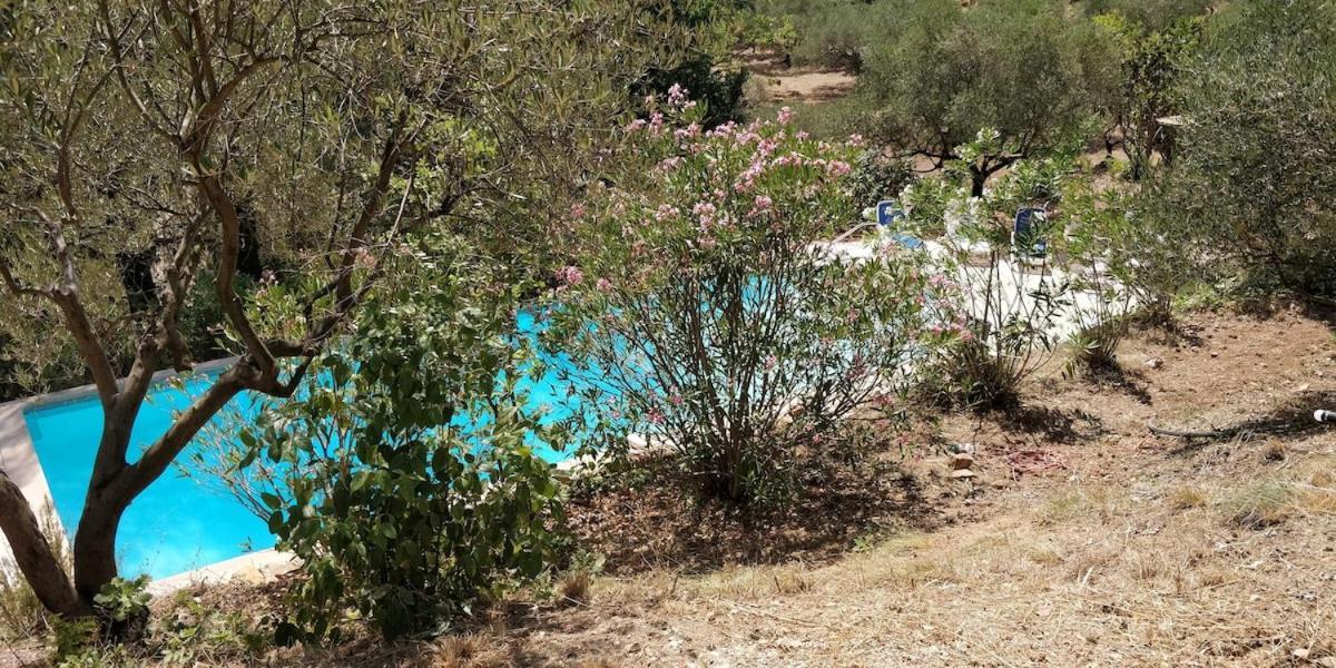 Villa CIGALONS en pleine pinède + PISCINE chauffée Auriol Exterior foto