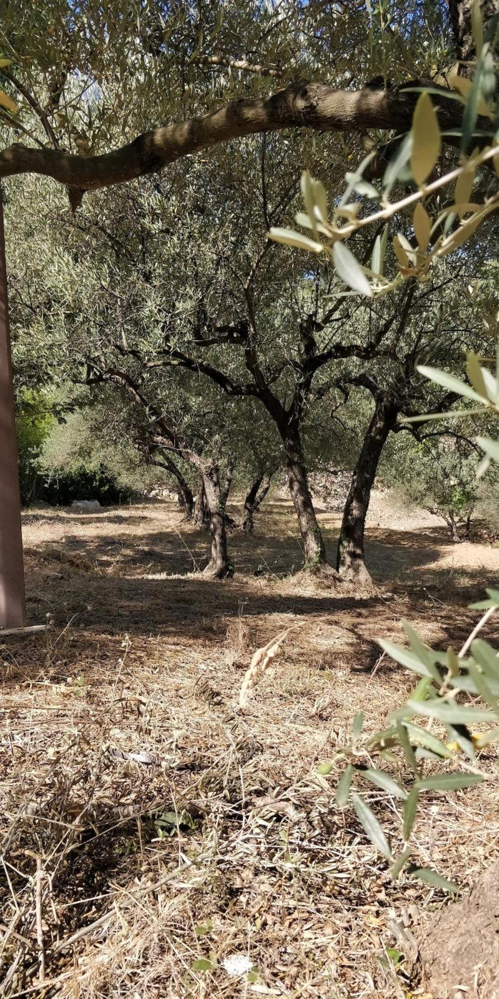 Villa CIGALONS en pleine pinède + PISCINE chauffée Auriol Exterior foto